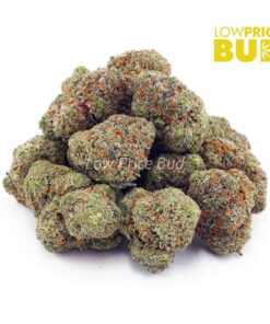 Alternative view of Birthday Cake Kush (AAAA)