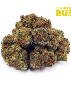 Alternative view of Super Lemon Haze (AAA)