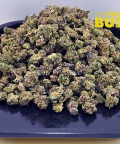 Alternative view of Pre-98 Bubba (AAAA) – Popcorn Nugs