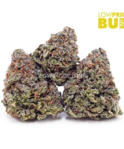 Banana Kush (AA)