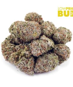 Alternative view of Banana Kush (AA)