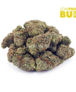 Alternative view of Frosted Fruit Cake (AAAA)