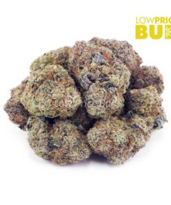 Alternative view of Pineapple Bomb (Craft Cannabis)