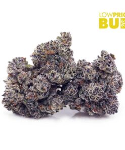 Vanilla Ice (Craft Cannabis)