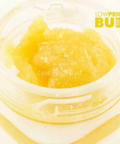 Alternative view of Caviar – 93 Octane
