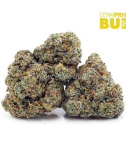 Super Glue (AAA)
