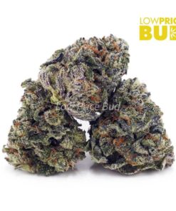Blackberry Kush (AAA)
