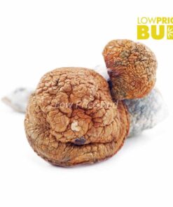 Mushrooms – Blue Meanies