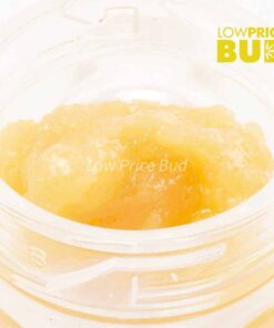 Alternative view of Caviar – Platinum Champagne