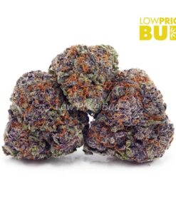 Bio Diesel (AAAA)