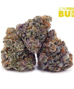 Blue Dream (AAAA)