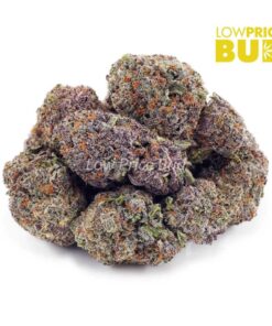 Alternative view of Pineapple & Cream (AAAA)