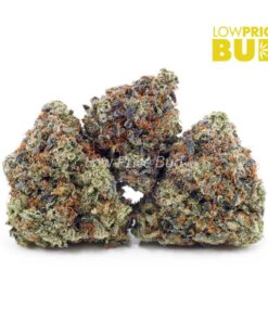 Grease Monkey (AAAA)