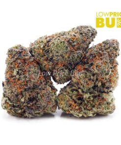 Mango OG (AAAA)