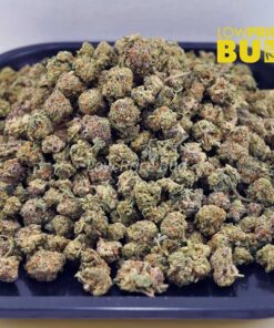 Alternative view of Hells Angel OG (AAAA) – Popcorn Nugs