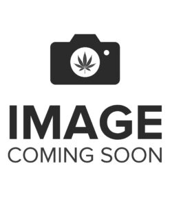OCB BAMBOO CONES KING SIZE - 3PK