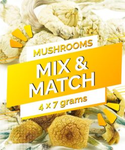 Build Your Own Mushrooms Oz
