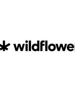 WILDFLOWER EXTRA STRENGTH CBD RELIEF STICK (H) TOPICAL - 60G